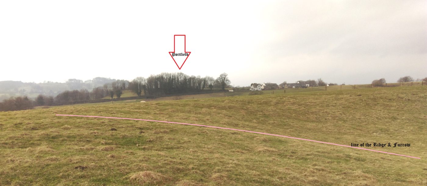 View back to Portfield (arrow) showing the ridge & furrow (pink line) in the pit