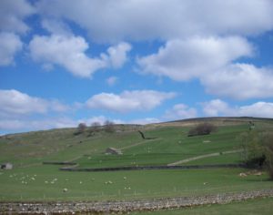 Stainforth & Knight Stainforth. Field lynchets